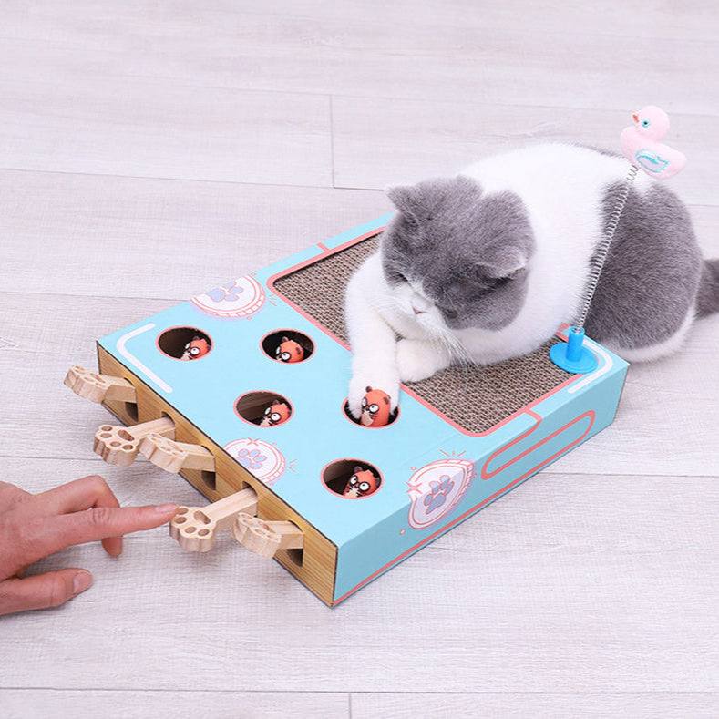 Interactief whack-a-mole speeltje voor katten Daily Paw Nederland