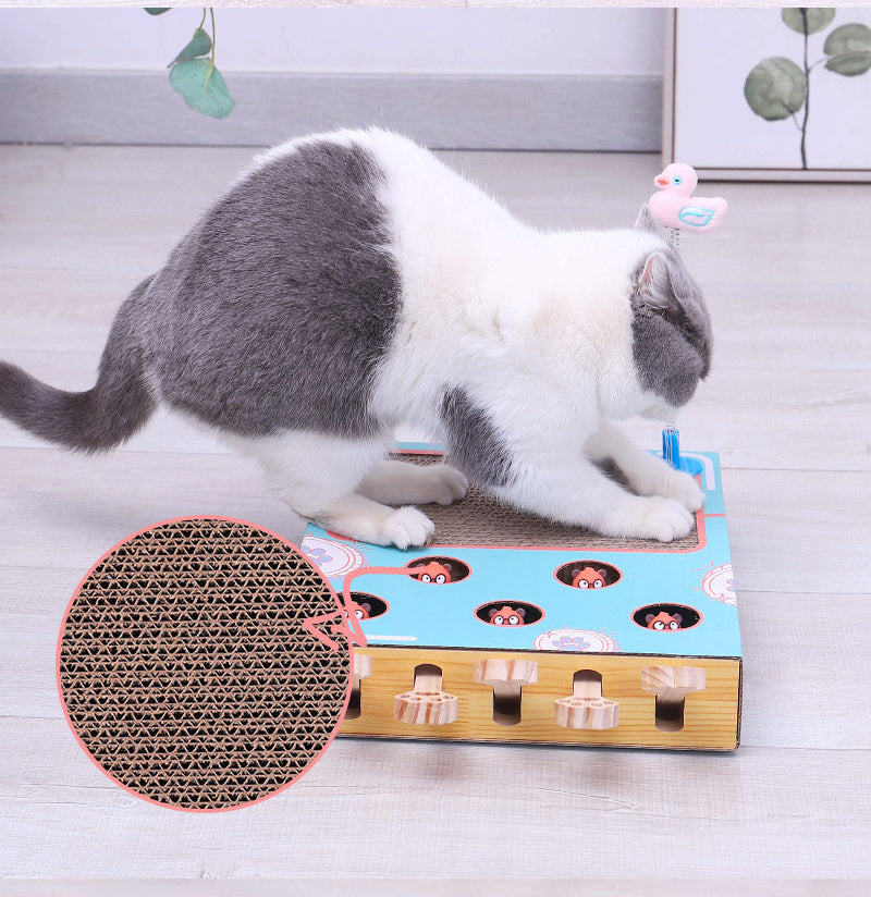 Kat speelt met whack-a-mole interactief speelgoed Daily Paw
