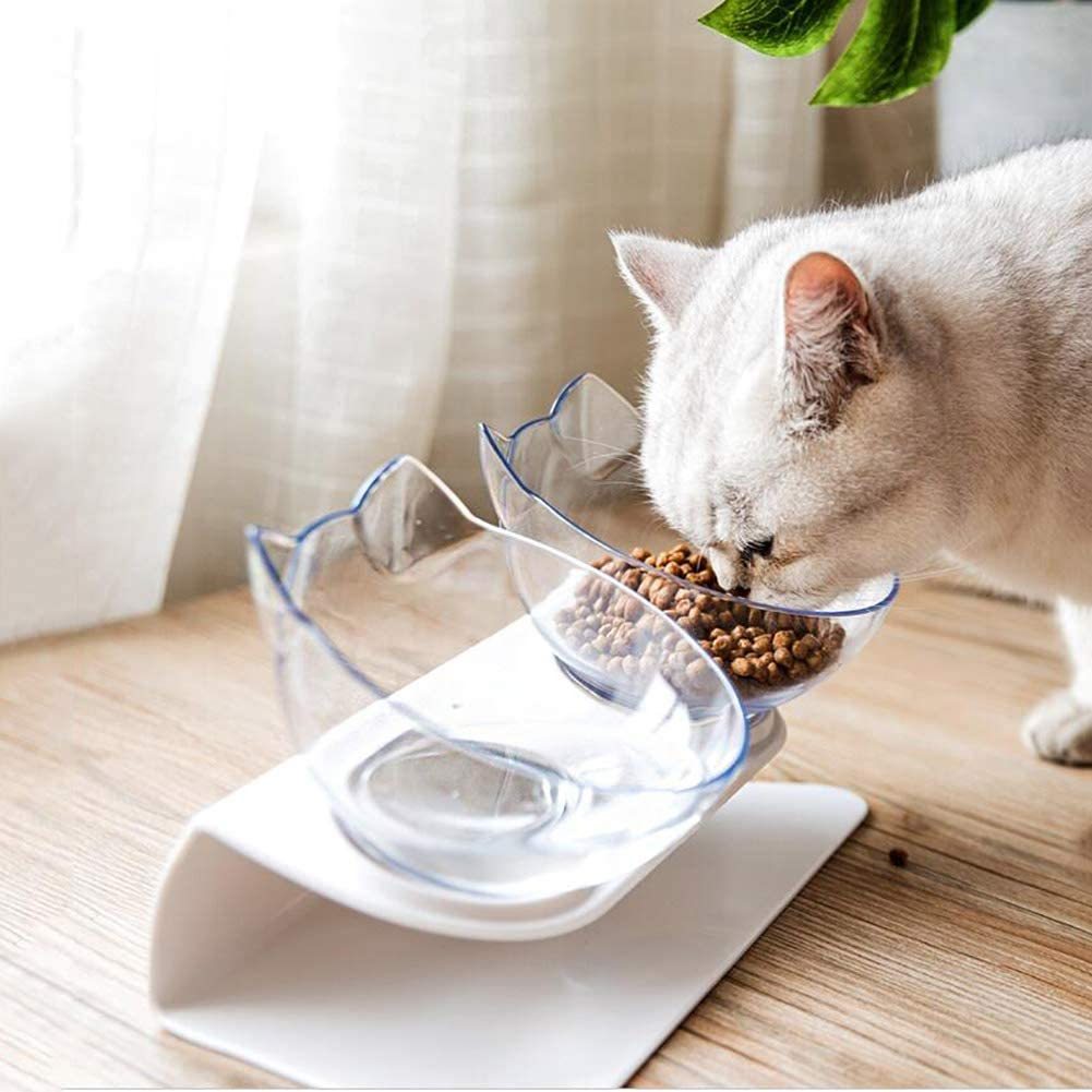 Gekanteld water-voerkom ergonomisch comfortabel eten Daily Paw Nederland