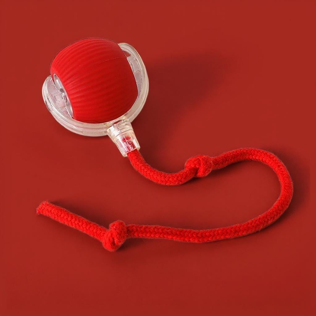 Interactief kattenspeelgoed rood zelfstandig spelen