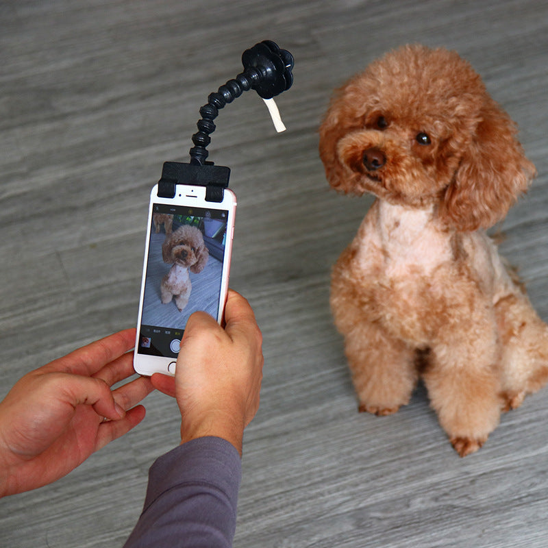 Huisdier Camera Clip voor Smartphone